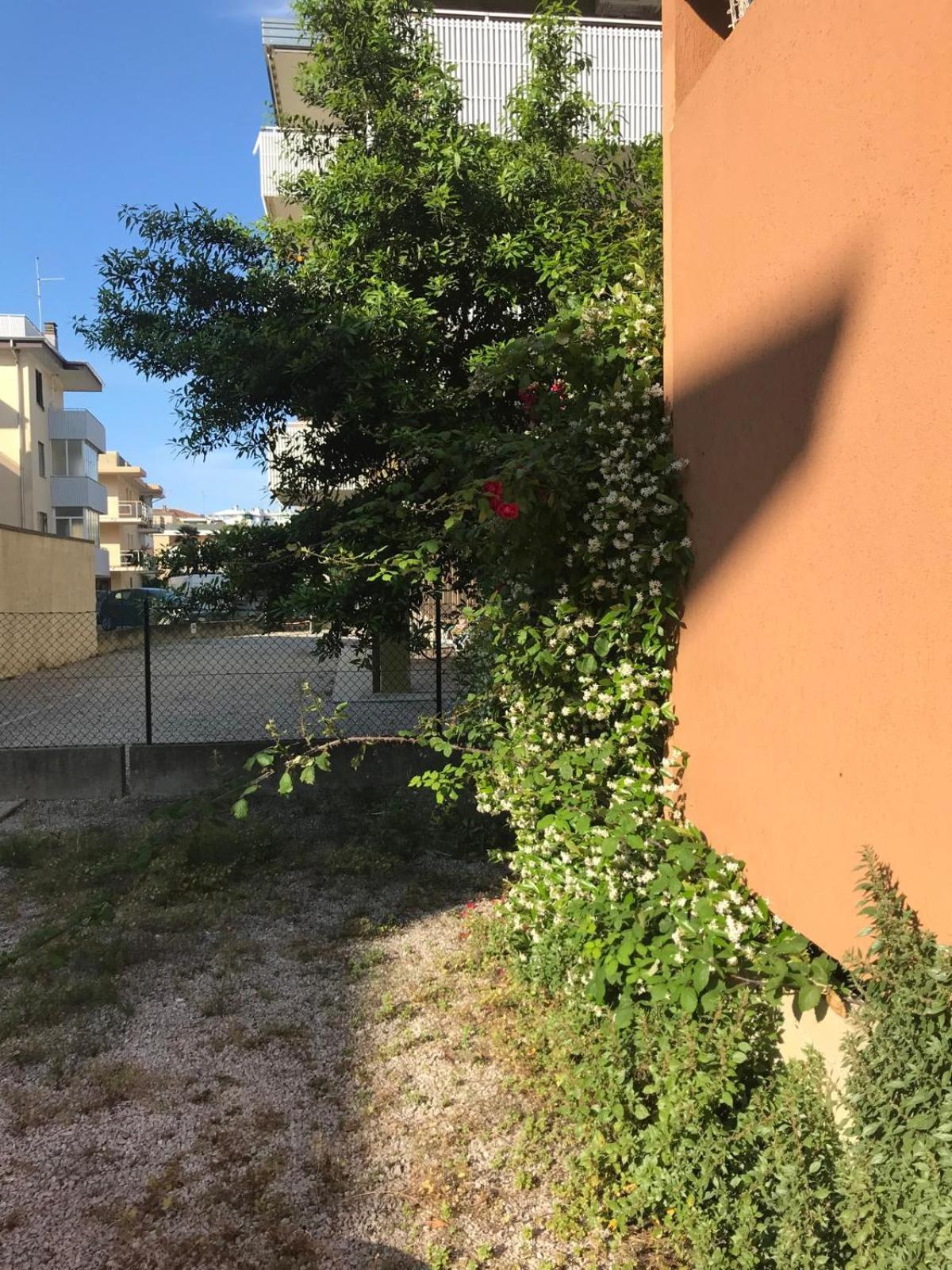 Monolocale a Grado Exterior foto